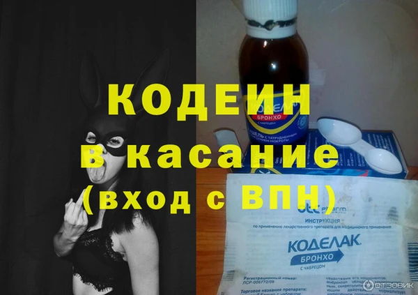 ECSTASY Богданович