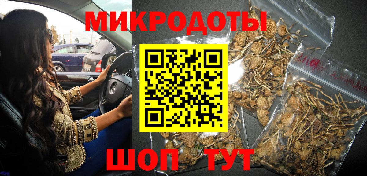 Галлюциногенные грибы Psilocybine cubensis Семилуки